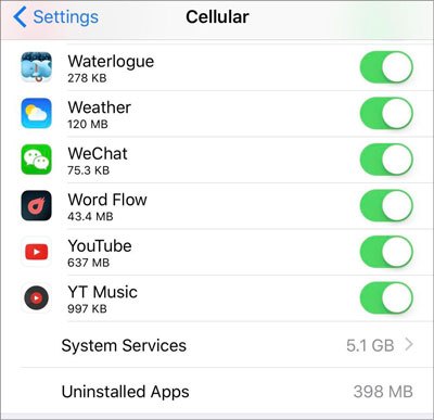check cellular usage on iphone