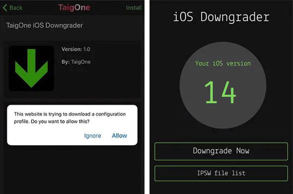 tgigone downgrader for ios devices