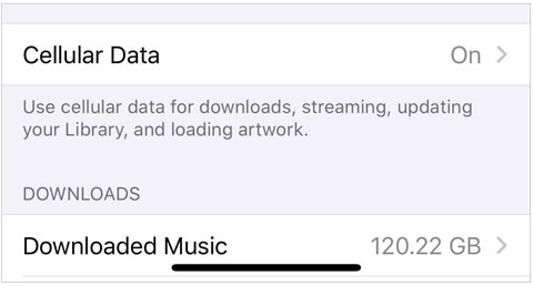 turn on cellular data on iphone music settings to get the disappeared music back