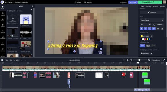 kapwing mov video editing program