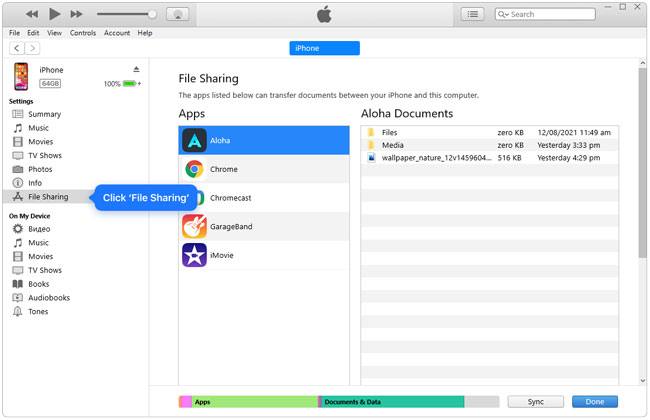move songs from iphone to itunes using itunes file sharing