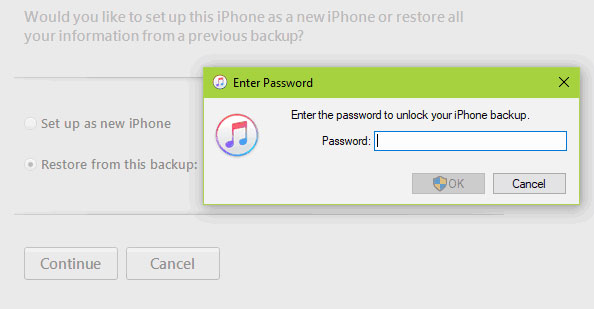 enter then password to unlock your iphone backup