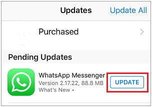 update whatsapp on iphone when it cannot restore chat history