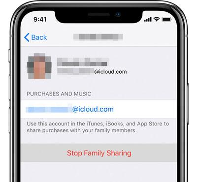 add the family members again when family sharing on icloud storage is failed