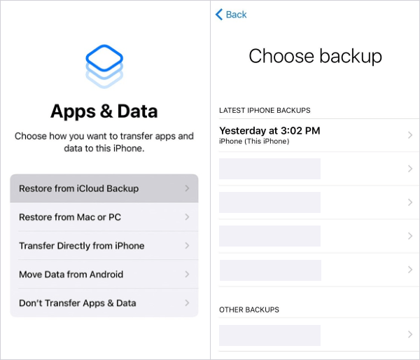 click restore from icloud backup