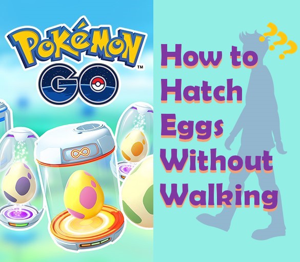a picture descibing how to hatch eggs without walking
