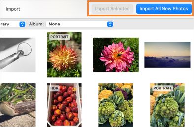 select import all new items or import selected to import your photos