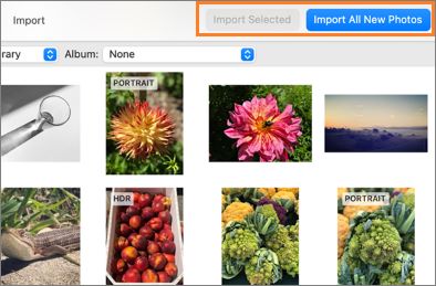 Fotos auf Mac