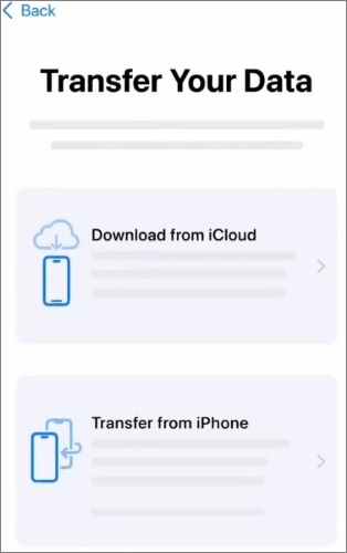 transfer your data via downloading from icloud or transferring from iphone