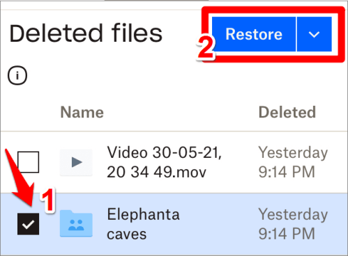 tap on the deleted files option and press the restore button