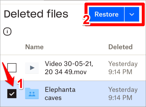 how to retrieve deleted pictures from phone memory via dropbox