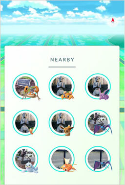 catch ditto using nearby feature