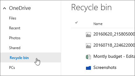 navigate to the recycle bin folder