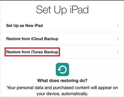 select restore from itunes backup to set up your ipad