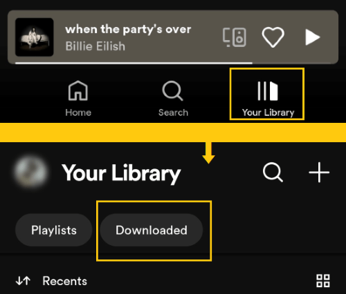 how to view your downloaded music on spotify