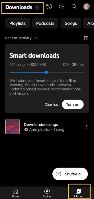 how to view youtube music downloads in the app