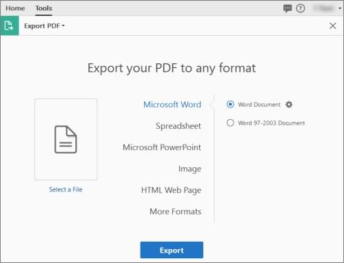 select microsoft word as the desired output format