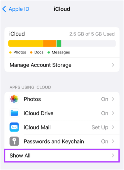 show all apps using icloud in icloud settings