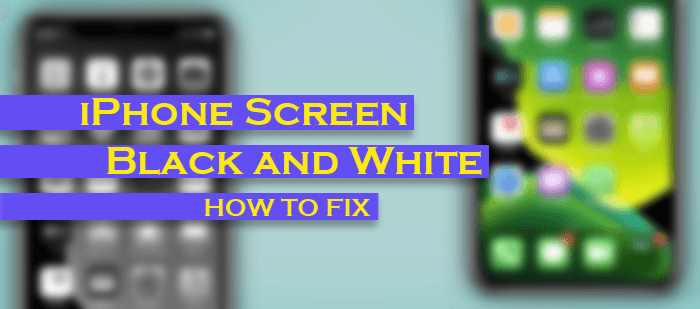how to fix iPhone screen black and white