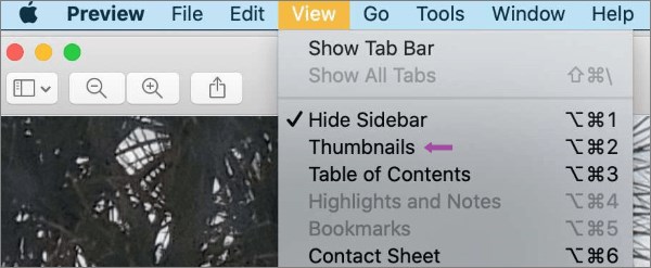 go to the view tab and choose thumbnails