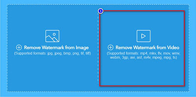 choose remove watermark from video