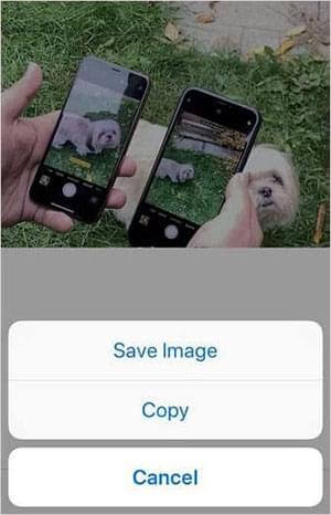 select save image option