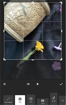 how to crop a tiktok video via inshot