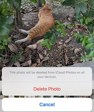 delete photos to wipe icloud data