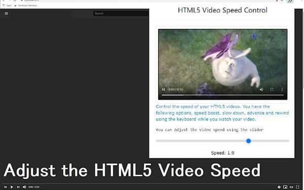 video speed controller chrome