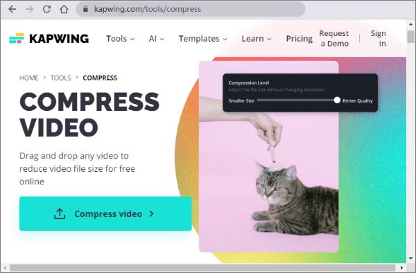 kapwing the file compressor free