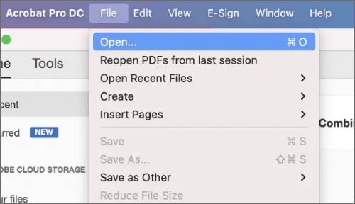 open the pdf file