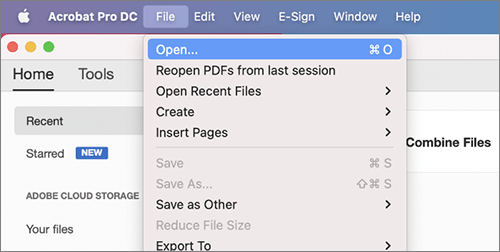 choose the open file menu option
