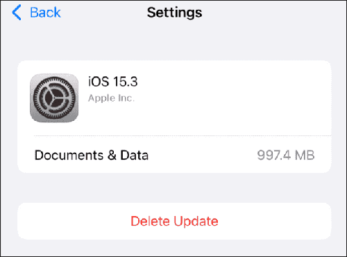 delete the update and try again to fix update requested ios 16