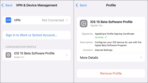 remove ios 16 beta profile to fix my phone doesn't have ios 16