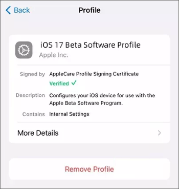 remove ios 17 beta profile