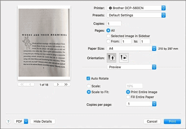 how to enlarge a pdf for printing on mac with preview