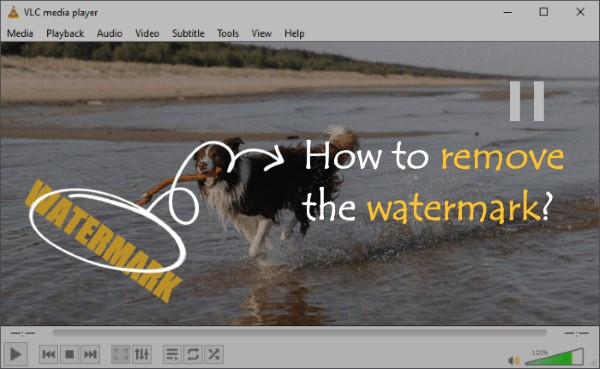 best video watermark removers
