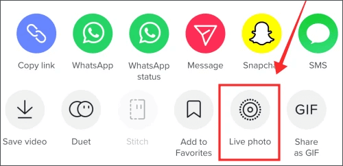 how to save a tiktok to your camera roll as live photo