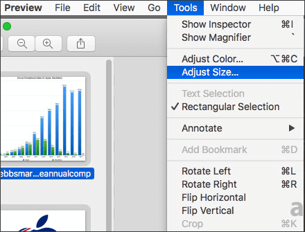 select the adjust size option from the tools menu