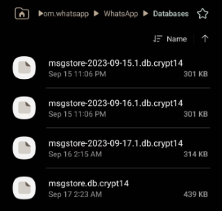 identify whatsapp backup files