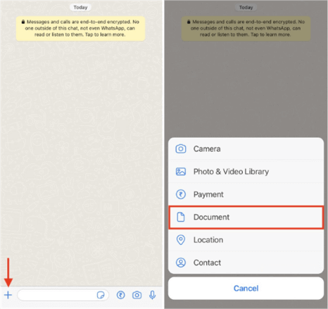 send high resolution photos from iphone to iphone with whatsapp