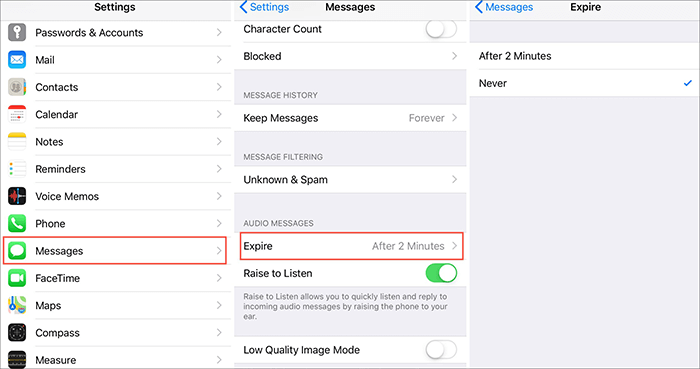 save the voice messages via settings