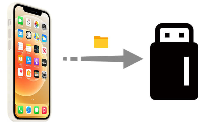 将文件从 iPhone 传输到 USB 闪存盘