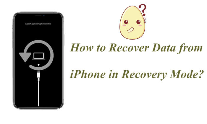 在恢復模式下從 iPhone 恢復數據