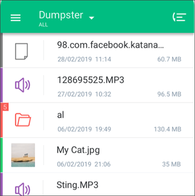 how to use dumpster photo video recovery