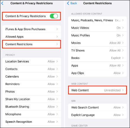 controlla le impostazioni del tempo di utilizzo per risolvere il problema che Safari non cancella la cronologia