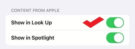 아이폰에서 사진 자르기 기능이 작동하지 않는 문제를 해결하려면 시각적 찾기 기능을 활성화하세요.