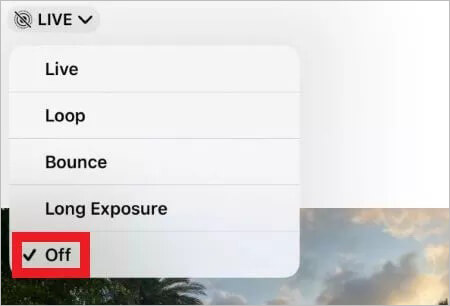 iPad에서 사진 자르기 기능이 작동하지 않는 문제를 해결하려면 라이브 포토를 끄세요.