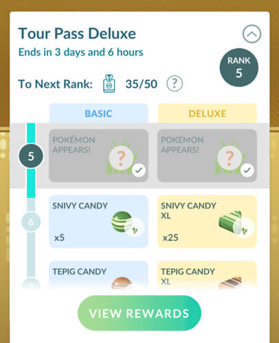 how does the go pass deluxe work