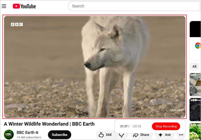click stop recording